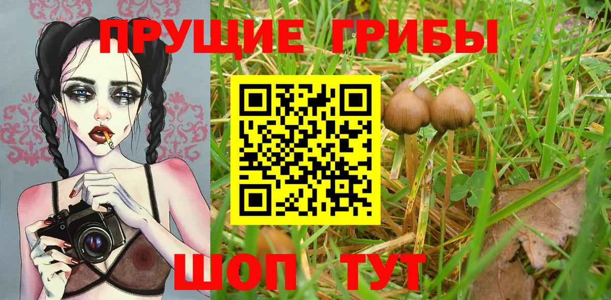 Псилоцибиновые грибы Magic Shrooms  Вход с VPN  Нижний Тагил  Галлюциногенные грибы MAGIC MUSHROOMS 
